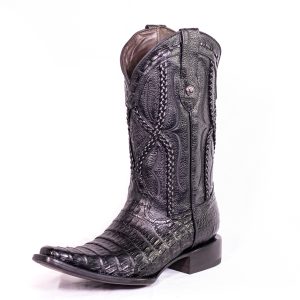 Holland caiman