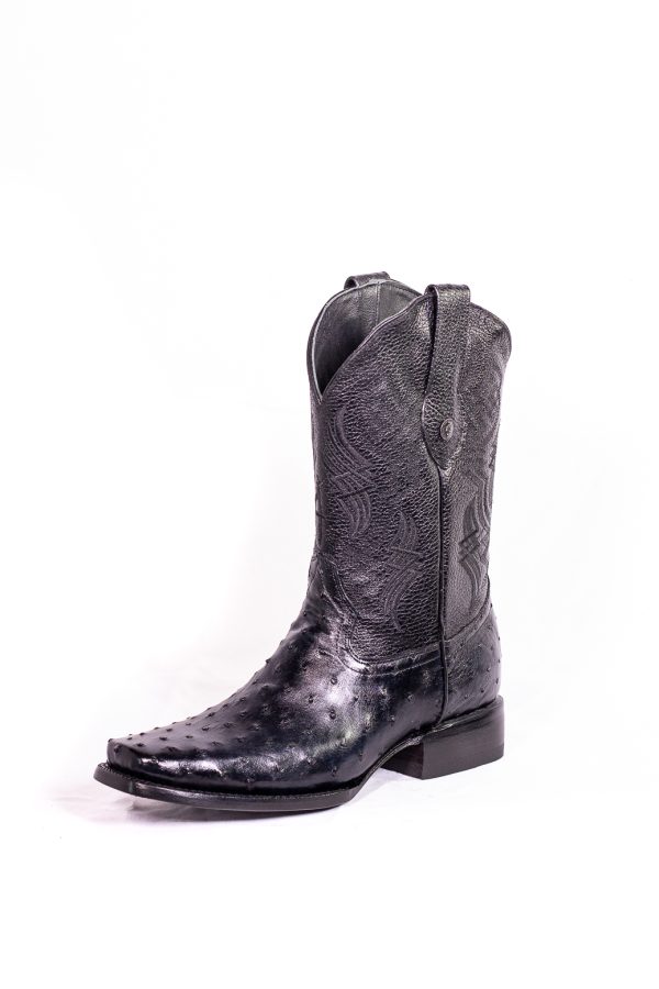 Rodeo